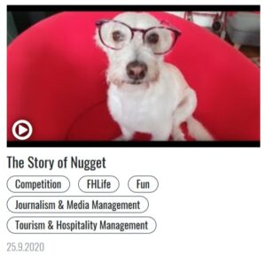 FHWien 360 Video Challenge: Rebecca Kerschbaumer "The Story of Nugget"